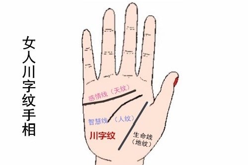女人川字紋手相