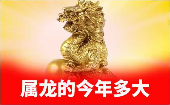 屬龍的今年多大