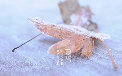 2019年農歷九月二十六霜降節氣出生的男孩命運好嗎？(圖文)