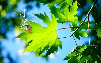 2019年小暑可不可以結(jié)婚這天是黃道吉日嗎？(圖文)