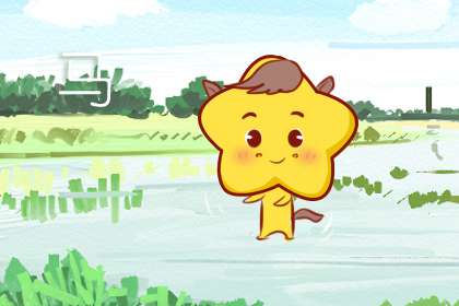 屬馬和屬猴的婚姻如何 會(huì)幸福嗎(圖文)