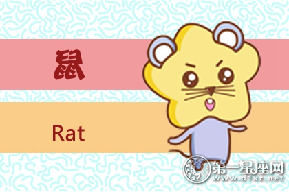 屬鼠該怎么提升自己的幸福感(圖文)