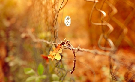 2019年八月二十五秋分簽約好嗎,秋分豎蛋有何技巧?(圖文)