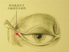 女人長八字眼的面相好嗎,還有什么同類的眼相(圖文)