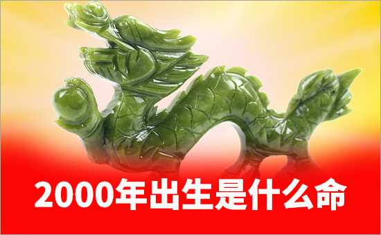 2000年是什么命