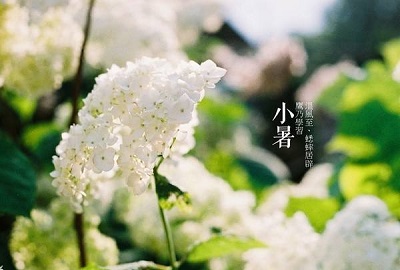 2019年7月7日小暑出生的女孩命運好不好？(圖文)