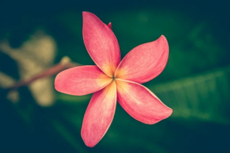 2019年農歷七月二十五祈福燒香吉利嗎,祈福需要注意什么？(圖文)