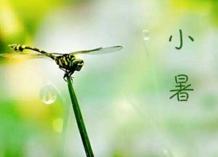 2019年農歷六月初五小暑是吉日嗎,7月7日小暑時辰吉兇解析！(圖文)