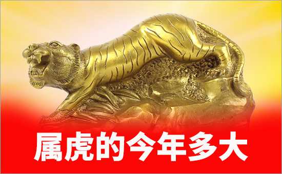 屬虎的今年多大