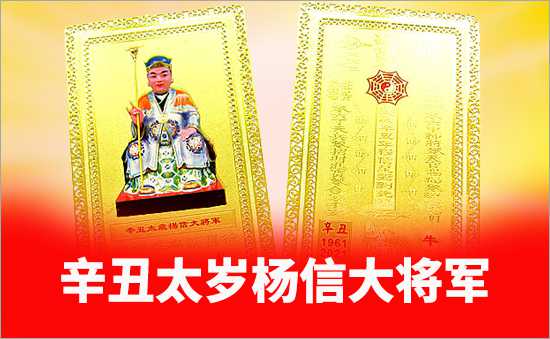 辛丑太歲神楊信大將軍