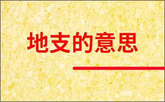 地支的意思