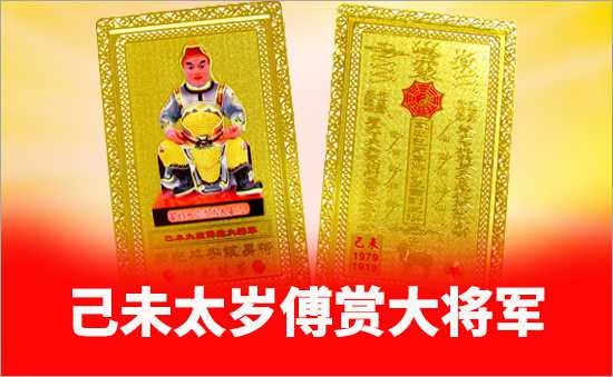 己未太歲傅賞大將軍