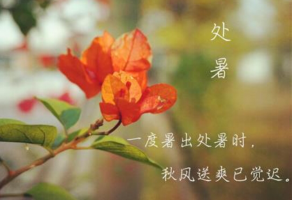 什么是處暑 處暑時辰是幾點幾分是什么時間？(圖文)