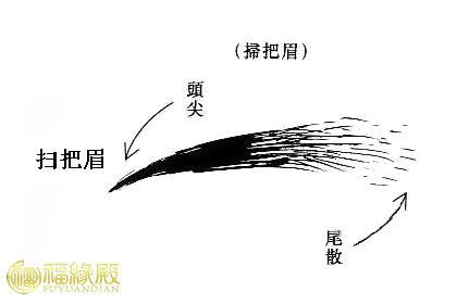 解析：掃把眉面相好嗎？(圖文)