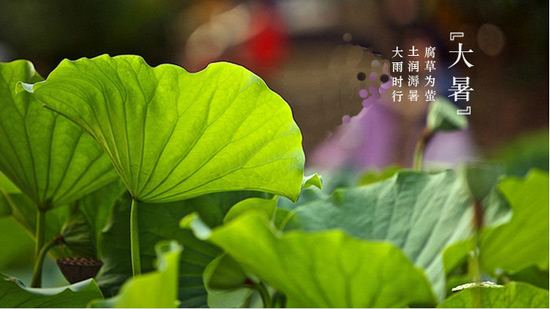2019大暑是幾點幾分 大暑是最熱的時候嗎？(圖文)