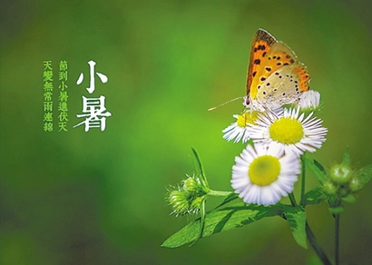 小暑和暑伏是一回事嗎 小暑是暑伏的首座天嗎？(圖文)