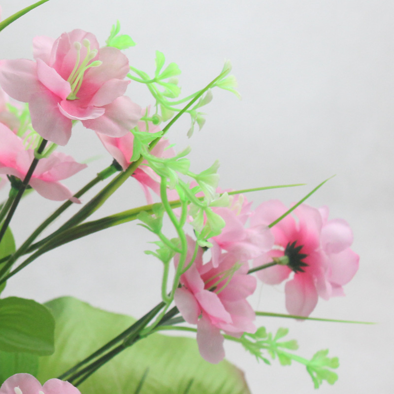 2018年屬龍的12月份桃花運(yùn)怎么樣
