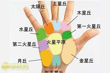 手相九大掌丘的秘密，它們代表什么？(圖文)