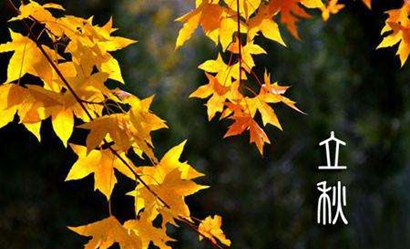 今年什么時候立秋2019年立秋日子好不好？(圖文)