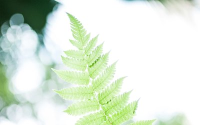 2019年農歷八月十五日子是不是祈福吉日 今天祈福合適嗎？(圖文)