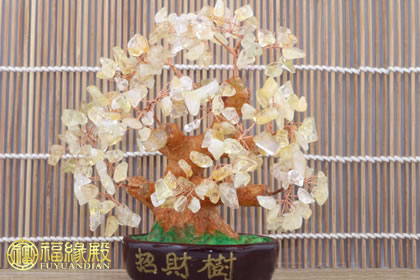 黃水晶招財樹的擺放有何講究？(圖文)
