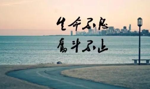 2019豬年農歷九月十四出生的孩子是什么星座？命理分析(圖文)
