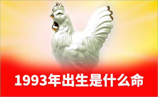 1993年是什么命