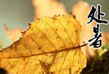 2019年處暑節(jié)氣財(cái)神吉位在哪個(gè)方位?處暑時(shí)辰吉神兇煞