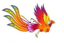 女人有鳳凰命和貴人命,具有哪些面相特征