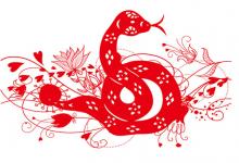 屬蛇和什么屬相相沖