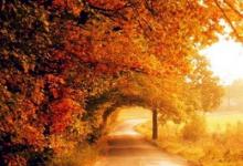 2019年農(nóng)歷八月二十六日是幾號(hào) 適合出行嗎?