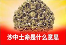 丙辰丁巳沙中土命是什么意思