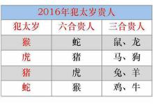 2016年犯太歲的貴人
