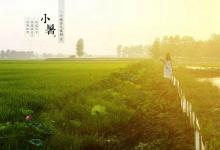 2019年小暑節氣是不是入伏首座天,2019年小暑熱不熱？