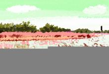 霹靂火命會是童子命人嗎 童子命好嗎