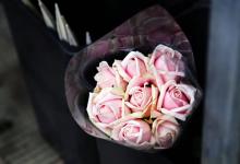 彼特本周星座事業(yè)運(2017.9.11-9.17)