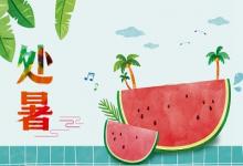 處暑不出頭 割谷喂老牛的意思是什么?