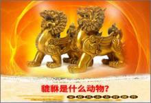 貔貅是什么動物呢