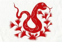 屬蛇人未來5年的財運如何，有什么提升