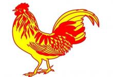 屬雞的屬相婚配表大全