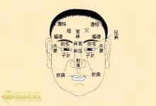 面相解析：面相十二宮詳解