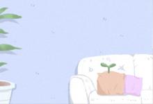日柱乙亥女看丈夫長相