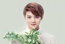 風水中五行屬木的行業