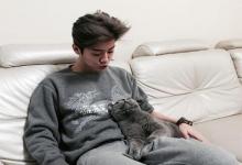 養貓的風水注意事項