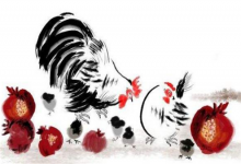 生肖屬雞的女人旺夫嗎，她們命運如何