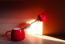 五行屬木的生肖有哪些