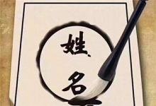 名字存在的意義是什么？