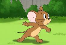 1984年屬鼠的幾月生優秀，84年屬鼠人一生命運如何