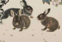 屬兔人的性格和脾氣女