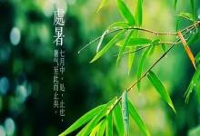 處暑節氣有什么禁忌？處暑前后節氣禁忌！
